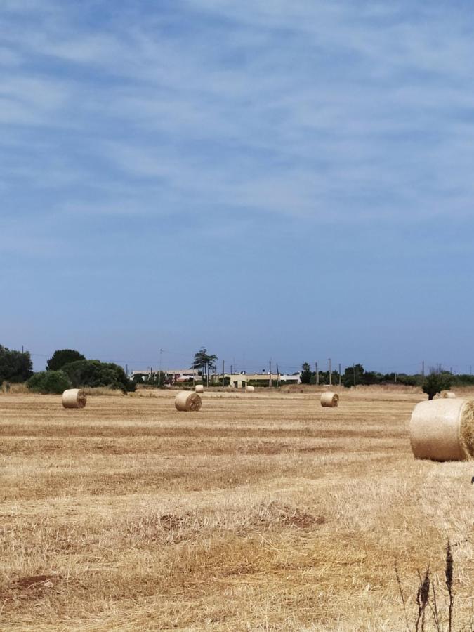 הוילה פולינאנו א מארה Dimora Dell'Ulivo מראה חיצוני תמונה